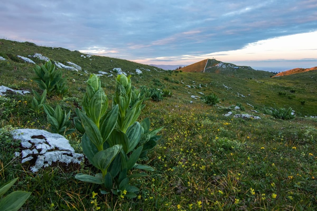 Mont Tendre, Jura Mountains, Switzerland