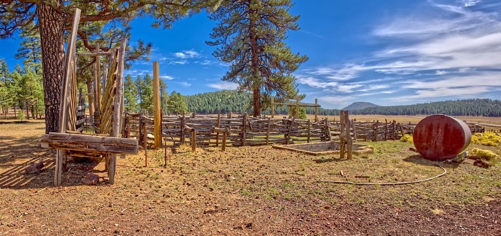 Barney Tank, Kaibab National Forest, Arizona