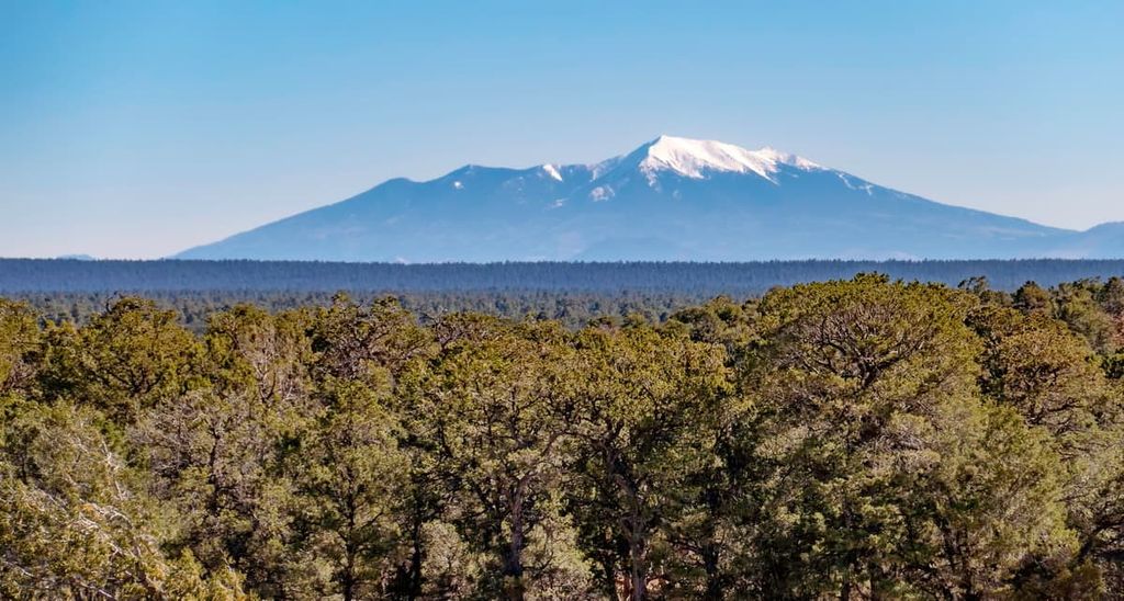 Kaibab National Forest, Arizona