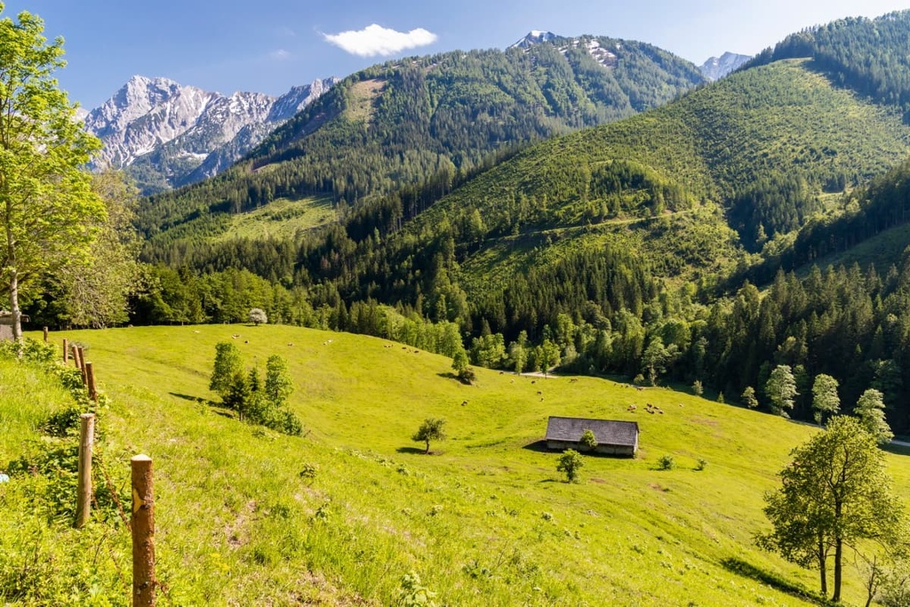 Kalkalpen National Park