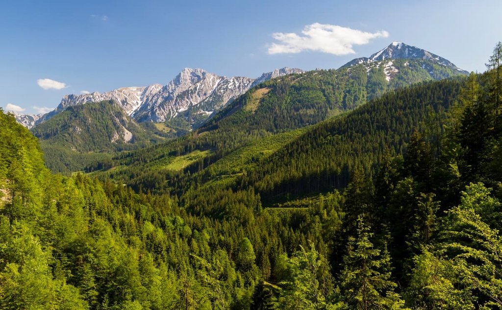 Kalkalpen National Park, Austria