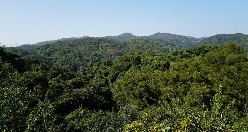 Kam Shan Country Park, Hong Kong