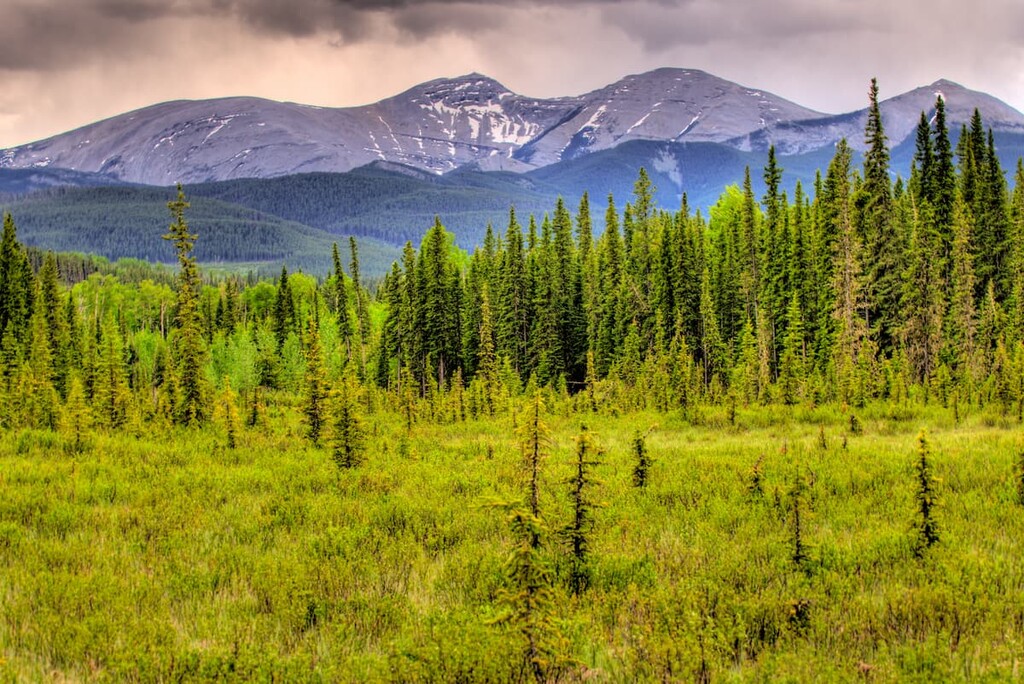 Jumpingpound, Kananaskis Country Public Land, Canada