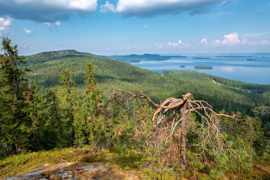 Koli, Karelides, Finland