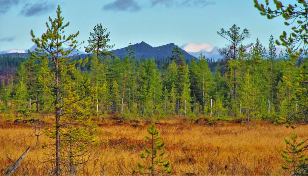 Korvatunturi, Karelides, Finland