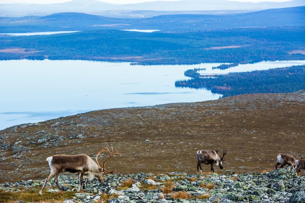 Pallastunturi, Karelides, Finland