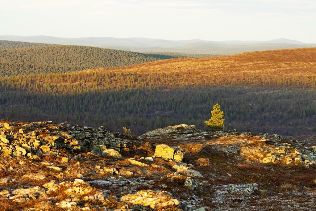 Urho Kekkonen National Park, Karelides, Finland