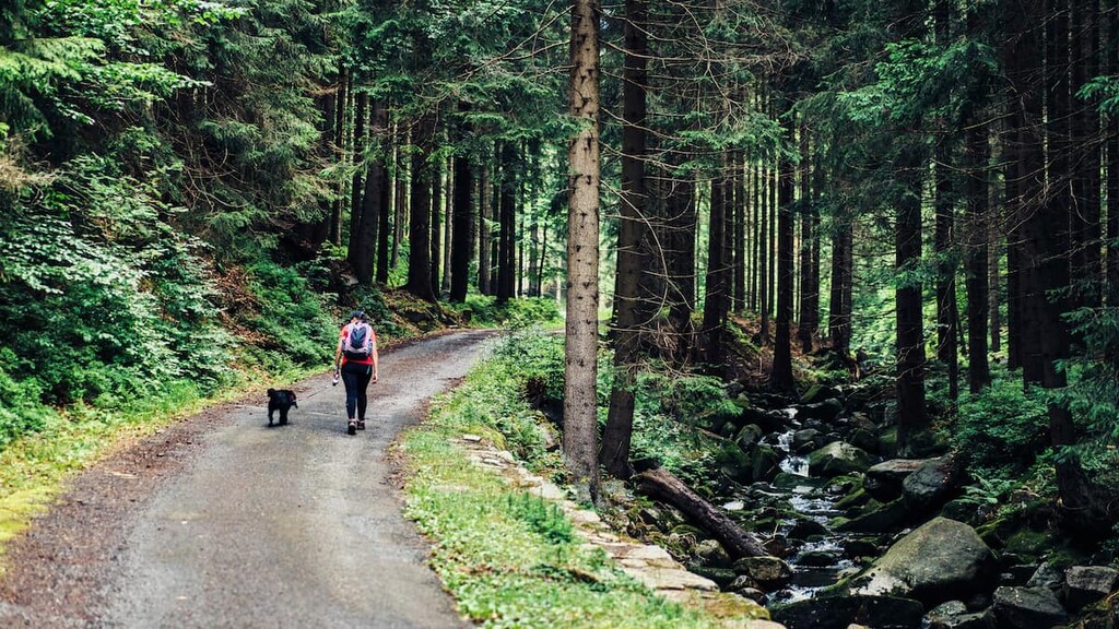 Jakuszyce-Karpacz Trail, Karkonosze National Park, Poland