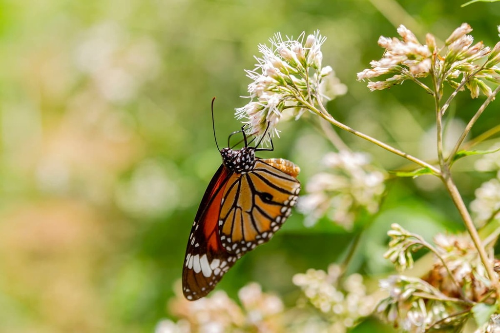 Keelung City, Taiwan