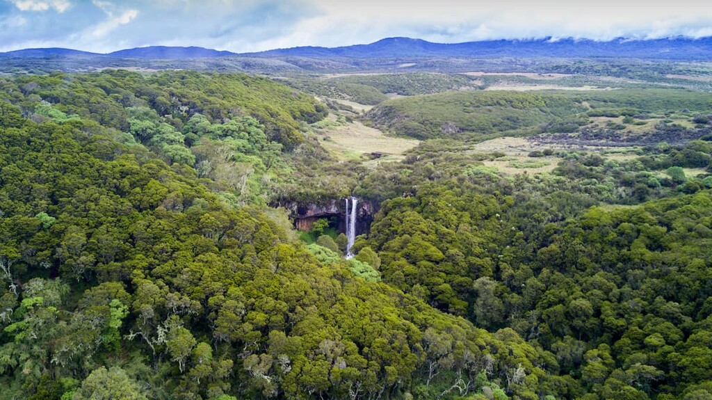 Aberdare National Park, Kenya