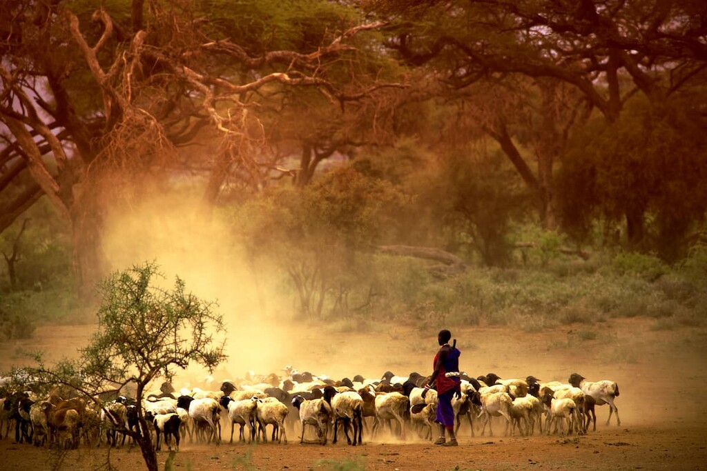 Kenya Mountains