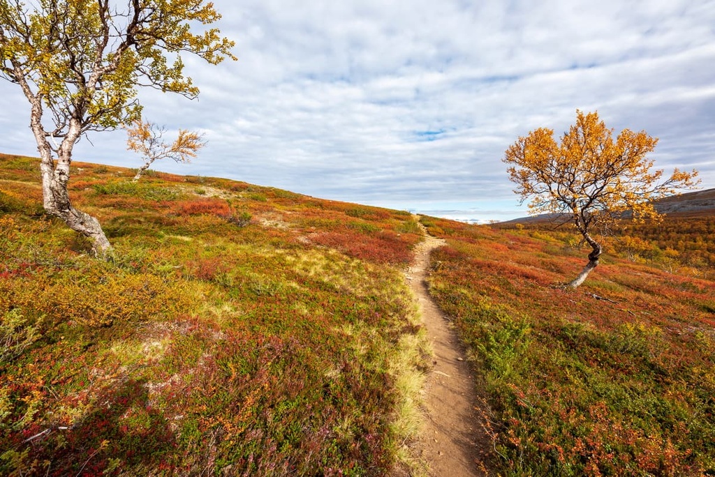 Kevo Strict Nature Reserve, Finland