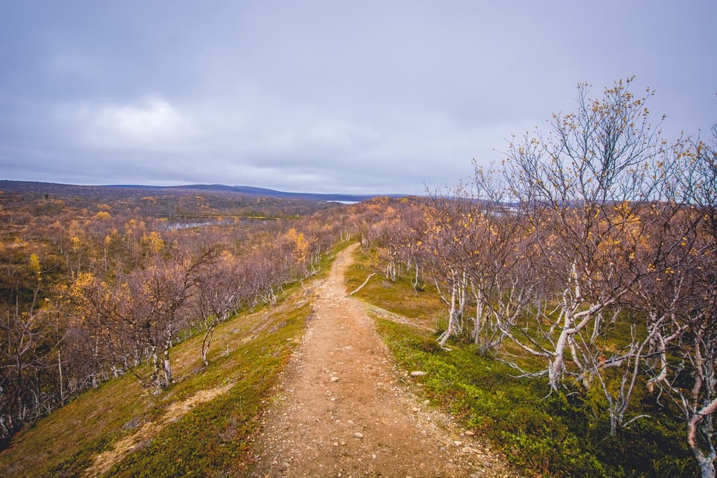 Kevo Strict Nature Reserve, Finland