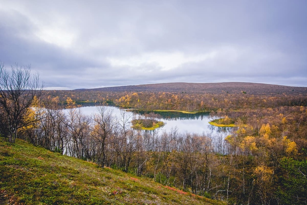 Kevo Strict Nature Reserve, Finland
