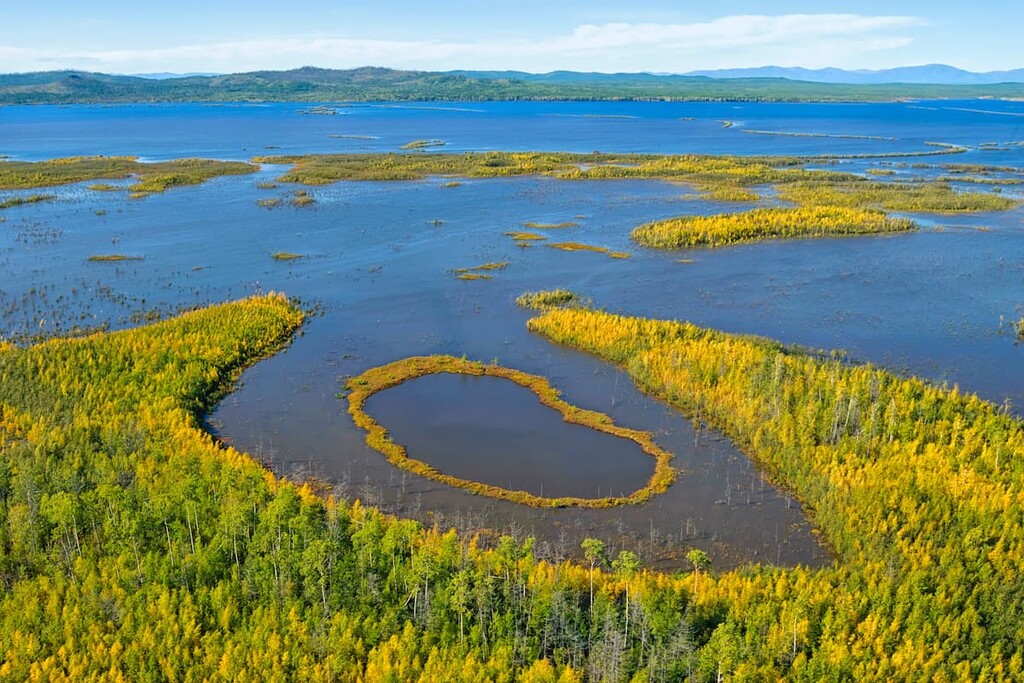 Amur river eye. Khabarovsk Krai, Khabarovsk Region, Russia