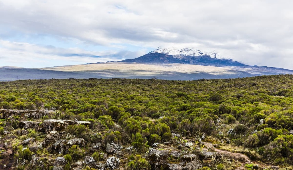 Kilimanjaro National Park, Tanzania