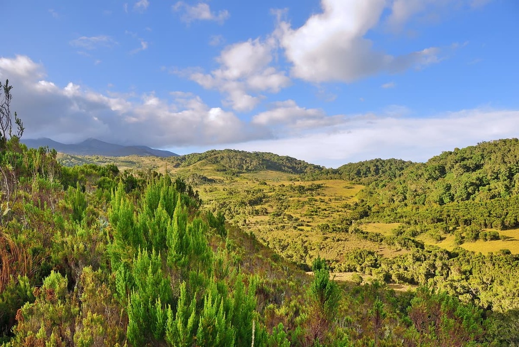 Kilimanjaro National Park, Tanzania
