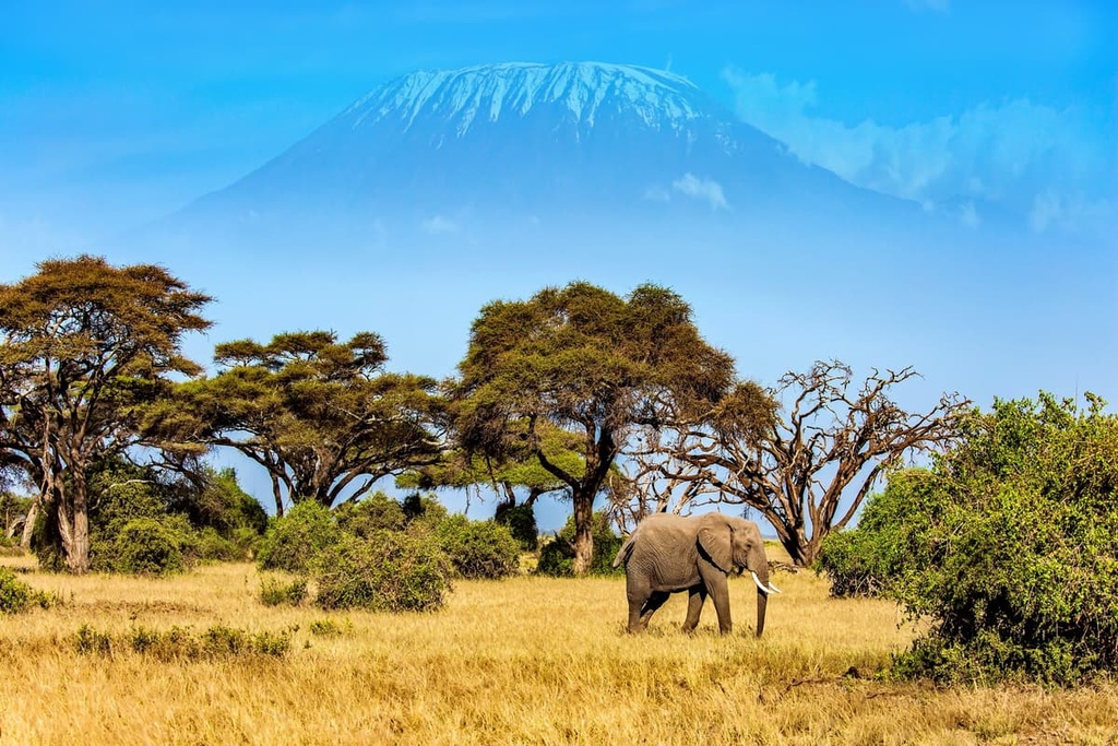 Kilimanjaro National Park, Tanzania