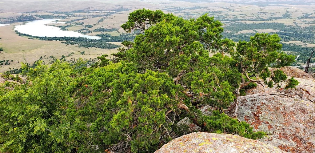  Kiowa Indian Tribe, Oklahoma