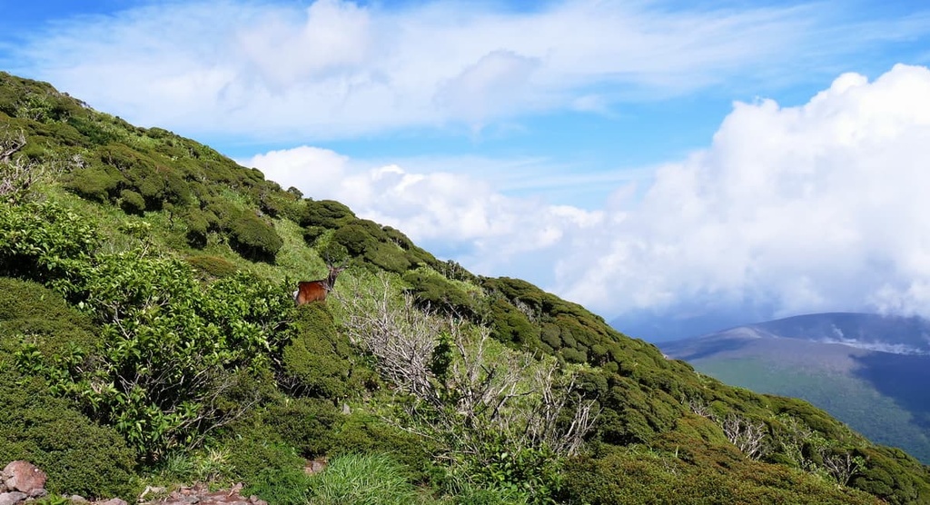 Karakuni, Kirishima-Kinkowan National Park, Japan