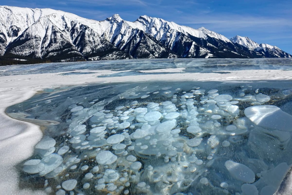 Kiska-Willson Public Land Use Zone, Alberta