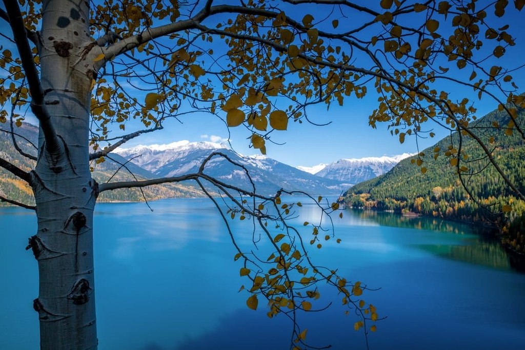 Kitchen Range, British Columbia