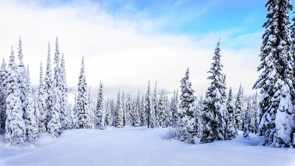 Robinson Ridge and Cedar Loop, Kitimat Ranges, British Columbia