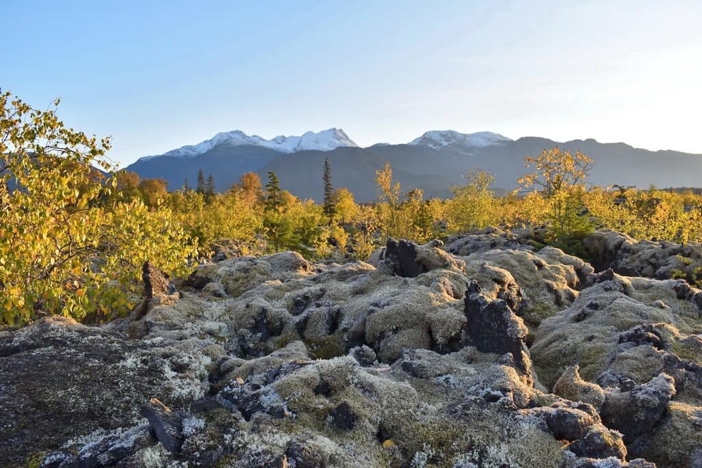 Nass Valley, Regional District of Kitimat-Stikine, British Columbia