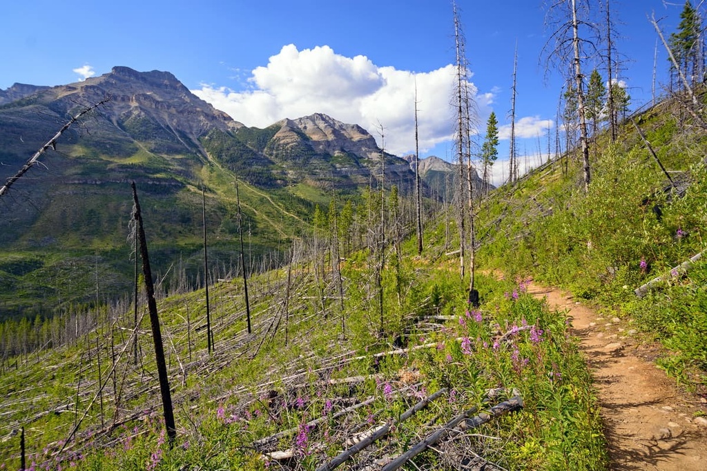 Kootenay Range, British Columbia