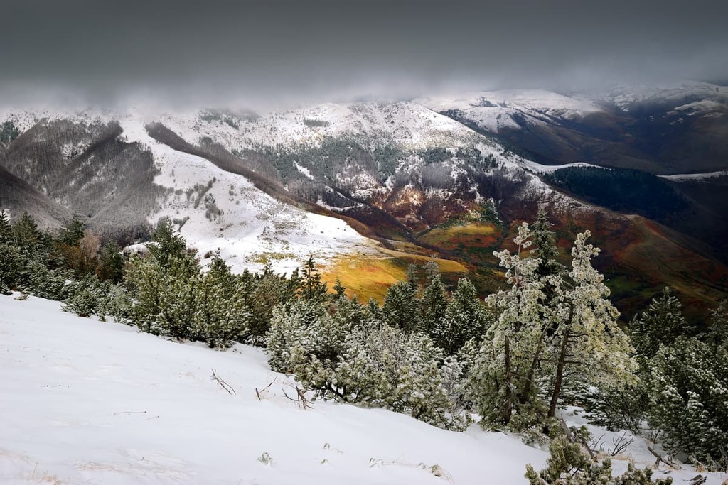 Oshlak Strict Nature Reserve, Republic of Kosovo