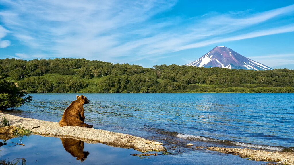 Russia, Kamchatka. Kronotsky Reserve