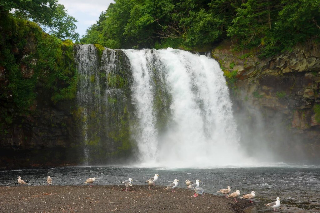 Waterfall of the Birds (Ptichiy) with sea birds in the foreground, Kunashir island