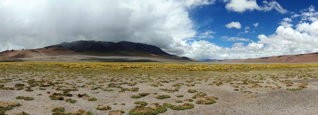 La Chinchilla High Andean Provincial Reserve, Argentina