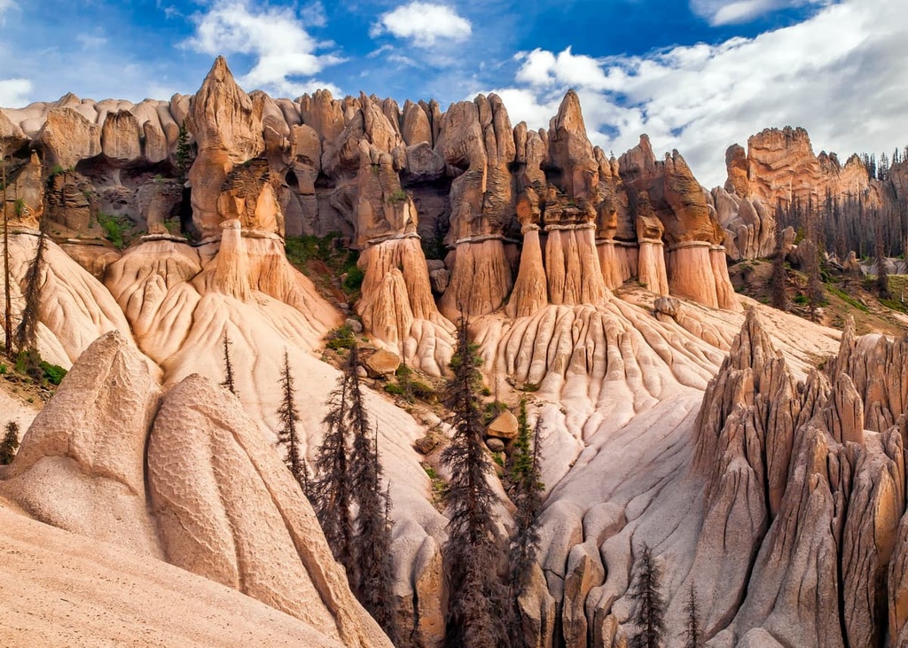 Wheeler Trail, La Garita Wilderness Area, Colorado