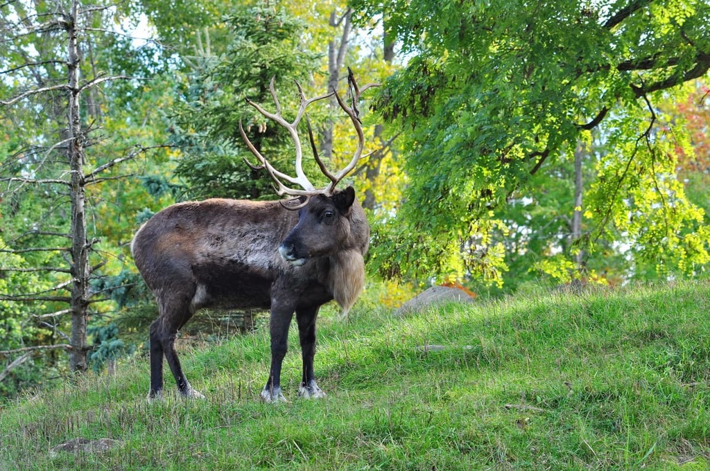 La Haute Gaspésie, Quebec