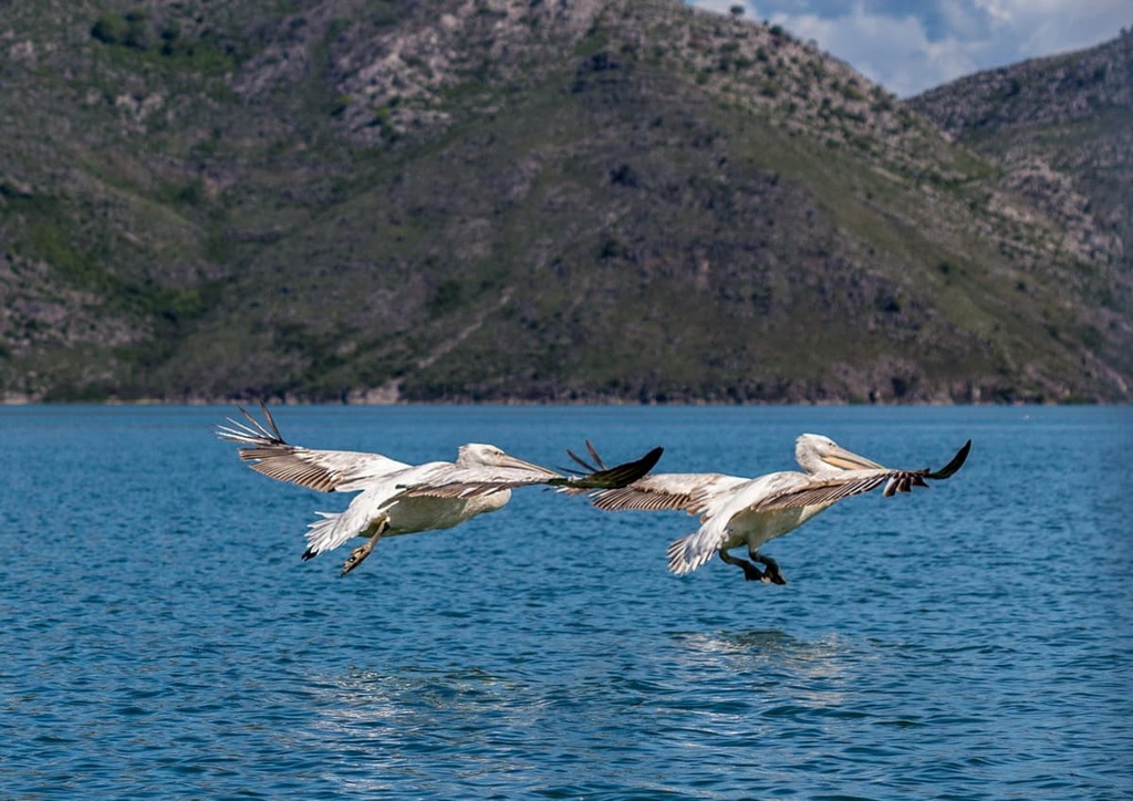 Lake Skadar National Park, Montenegro