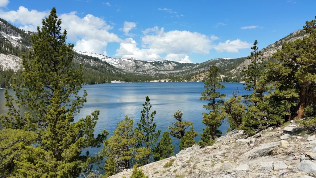 Fallen Leaf, Lake Tahoe Basin Management Unit