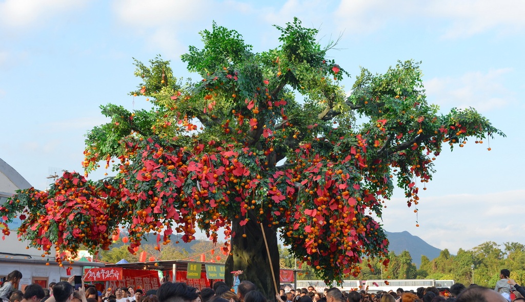 Lam Tsuen wishing trees, Guan Yin statue, Lam Tsuen Country Park, Hong Kong