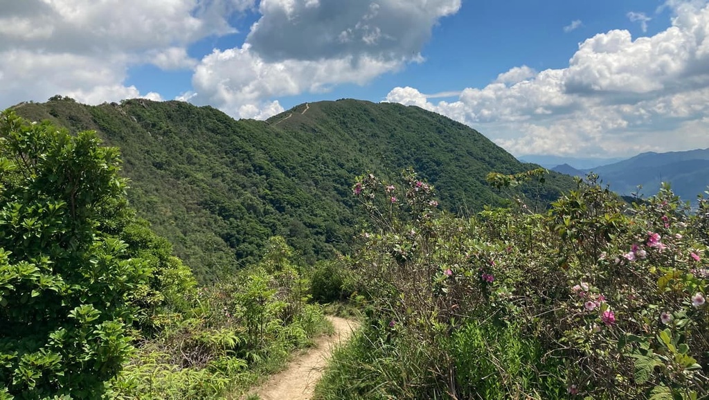 Lam Tsuen Country Park, Hong Kong