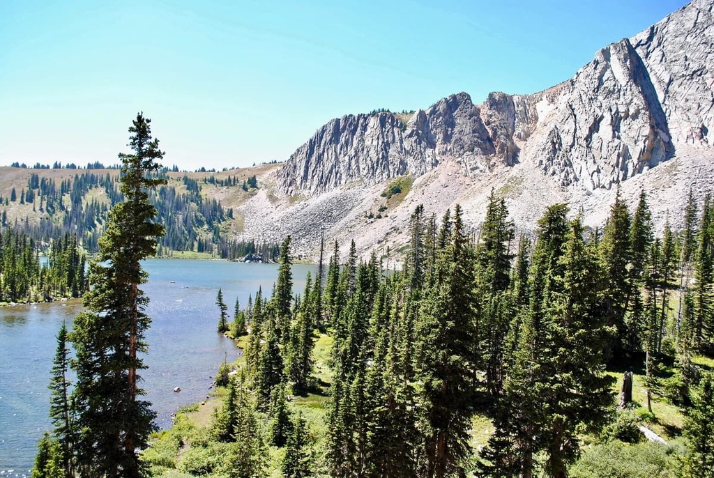 Laramie Mountains   Laramie Mountains Wyoming Forest 