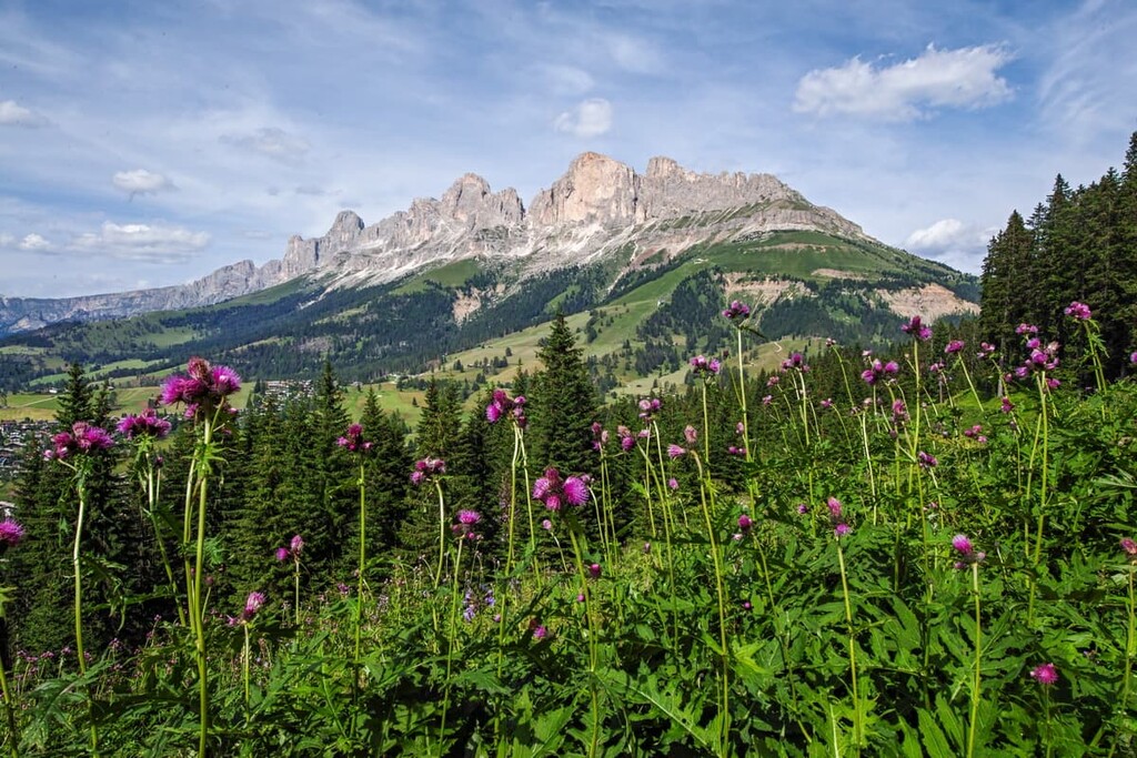 View of Catinaccio Rosengarten massif, Latemar, Dolomites, Italy