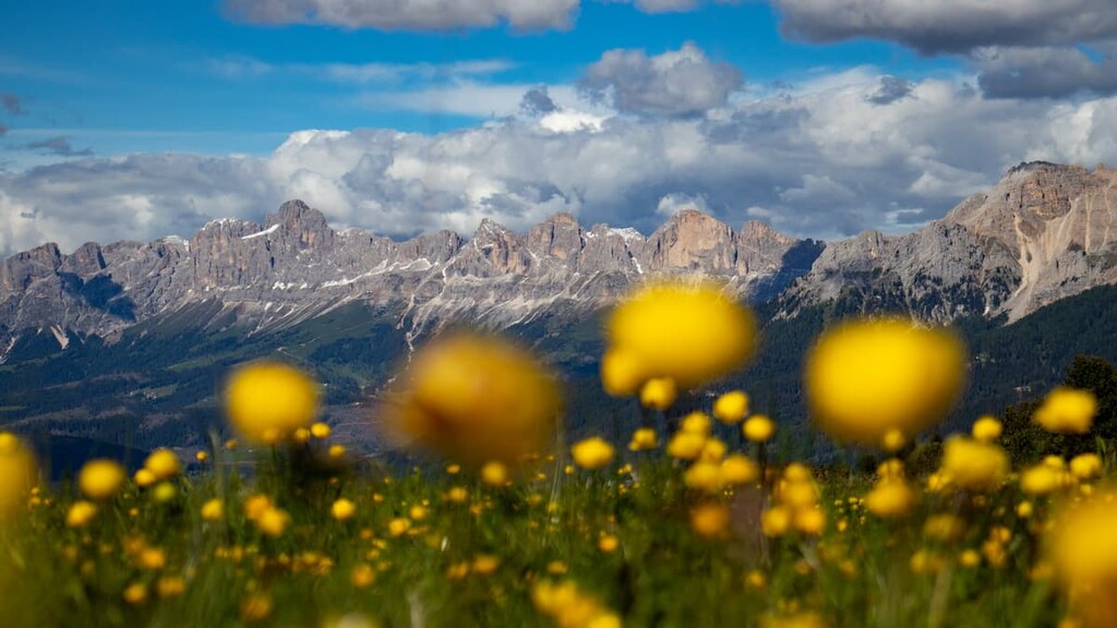 Labyrinth of Latemar Loop Trail, Latemar, Dolomites, Italy