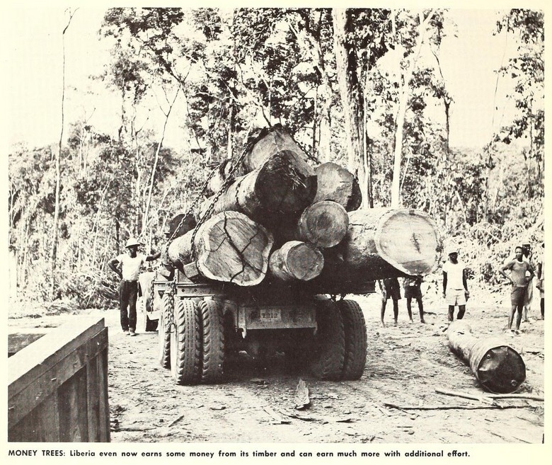 A photo of the timber industry from 1965. Liberia Mountains