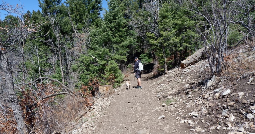 Lincoln National Forest, New Mexico