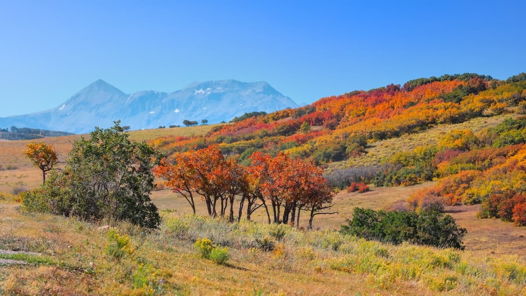 Dolores Peak, Lizard Head Wilderness, Colorado