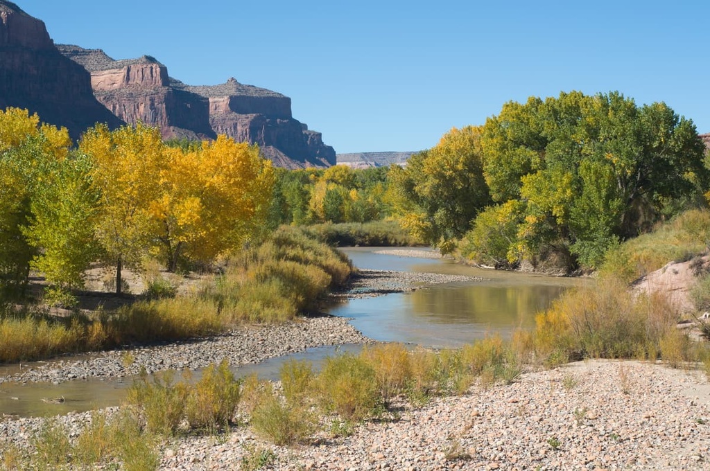 Dolores River, Lizard Head Wilderness, Colorado