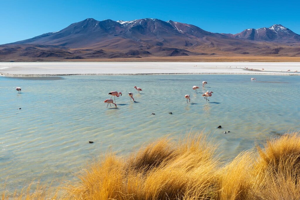 Canapa lagoon, Llica National Park, Bolivia