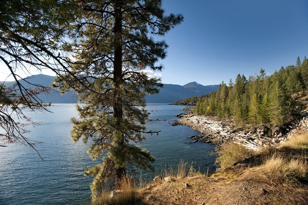 Lockhart Creek Provincial Park, British Columbia