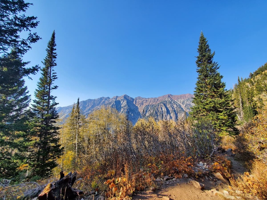 Lone Peak Wilderness, Utah
