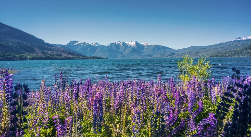 Los Alerces National Park, Argentina